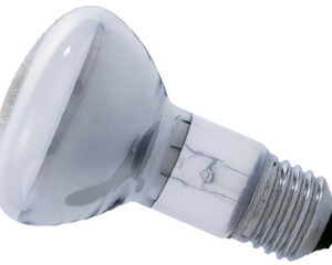 Lâmpada Para Spot 40w 110v R60 Clara - Sadokin