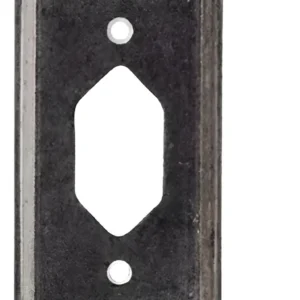 Placa Para Condulete 1 Tomada Única TM100+H - Daisa