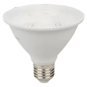 Lâmpada de LED Par 30 11W 6500K 38° - Avant