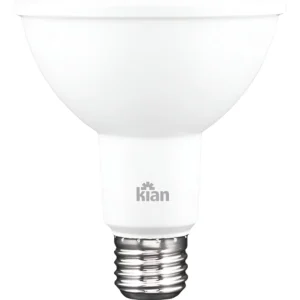 Lâmpada Par 30 De Led 11w Branca - Kian