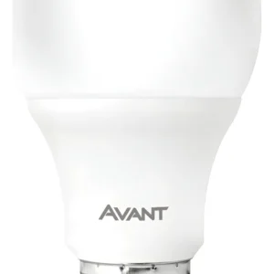 Lâmpada de LED Bulbo 15W 6500K - Avant
