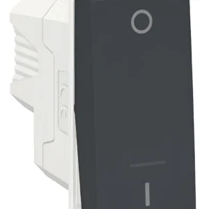 Modulo Interruptor Bipolar Simples 10a Grafite S70110294 O