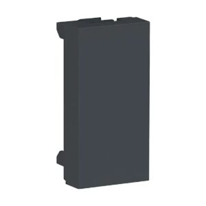 2 Modulo Cego Grafite S70866194 - Orion Schneider