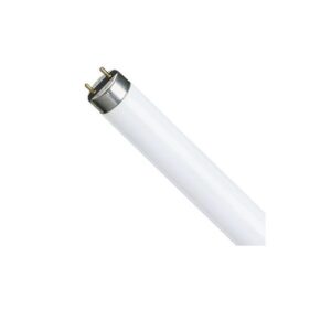 LAMP FLUOR ECOLUME 10W T8 6400K