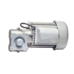 Motor BV/PIV 1/2 HSC 220V HP F2000 V4 Sem CP Nova Nice