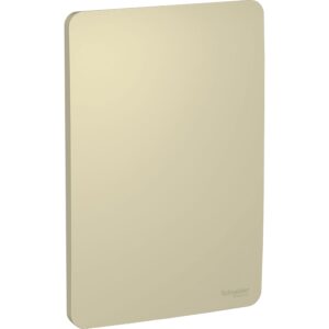 Placa 4x2 Cega Horizontal Gold S730100234 - Orion Schneider