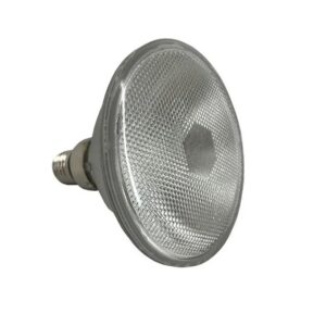 Lâmpada Halógena Par 38 120w 240v 30g Clara - Ourolux