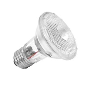 Lâmpada Halógena Par 20 50w 220v Clara - Ourolux
