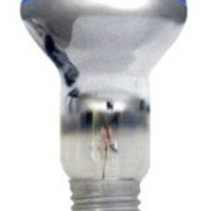 Lâmpada Para Spot 40w 220v R60 Azul - Sadokin