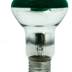 Lâmpada Para Spot 40w 220v R60 Verde - Sadokin
