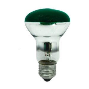 Lâmpada Para Spot 40w 220v R60 Verde - Sadokin