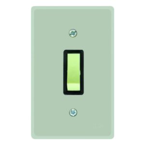 Conjunto 4x2 Interruptor Paralelo 1801.005 - Radial
