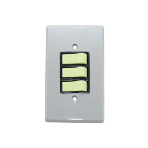 Conjunto 4x2 Interruptor Simples + 2 Paralelo 1801.009 Radia
