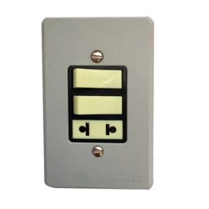 Conjunto 4x2 2 Interruptor Simples e Tomada 10A 54348 - Pial